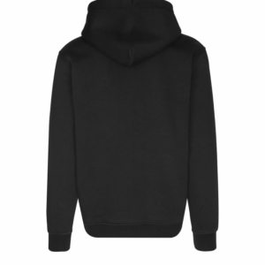 Sudadera Tommy Jeans Reg Spray Linear logo Hoodie Ext Black