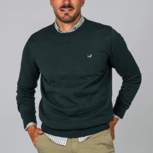 Jersey Albert Brandon Básico Cuello Caja Verde